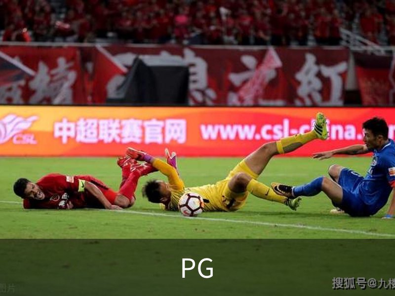 PG概况